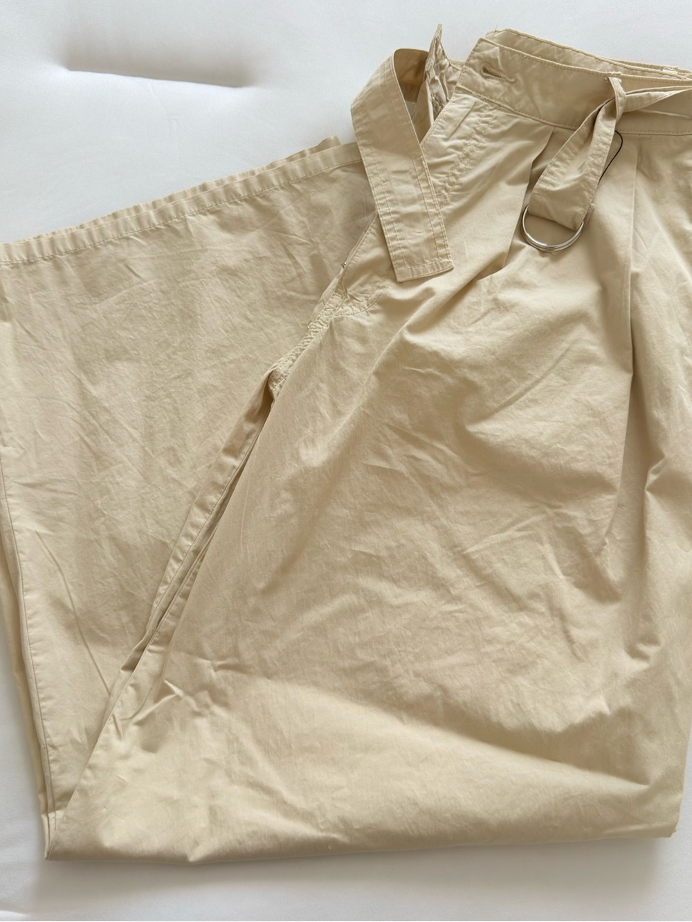 Zara Wide-Leg Belted Pants in Light Beige Size 4